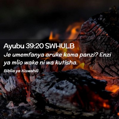 Picture 02 - Ayubu 39:20 SWHULB - Je umemfanya aruke kama panzi? Enzi ya mlio wake - Bible Verse Picture