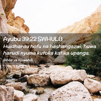 Picture 02 - Ayubu 39:22 SWHULB - Huidharau hofu na hashangazwi; huwa harudi nyuma - Bible Verse Picture