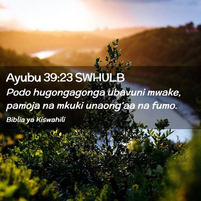 Picture 02 - Ayubu 39:23 SWHULB - Podo hugongagonga ubavuni mwake, pamoja na mkuki - Bible Verse Picture