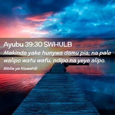 Picture 02 - Ayubu 39:30 SWHULB - Makinda yake hunywa damu pia; na pale walipo watu - Bible Verse Picture