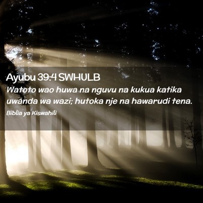 Picture 02 - Ayubu 39:4 SWHULB - Watoto wao huwa na nguvu na kukua katika uwanda - Bible Verse Picture