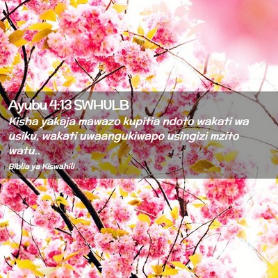 Picture 02 - Ayubu 4:13 SWHULB - Kisha yakaja mawazo kupitia ndoto wakati wa - Bible Verse Picture