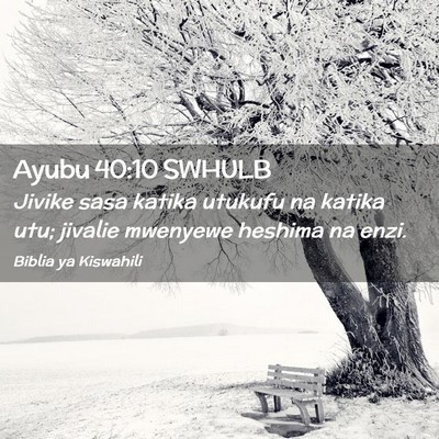 Picture 02 - Ayubu 40:10 SWHULB - Jivike sasa katika utukufu na katika utu; jivalie - Bible Verse Picture