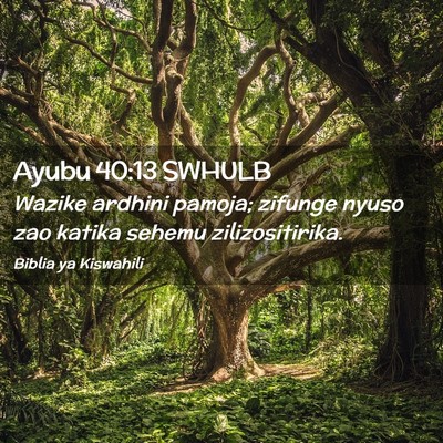 Picture 02 - Ayubu 40:13 SWHULB - Wazike ardhini pamoja; zifunge nyuso zao katika - Bible Verse Picture