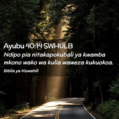 Picture 02 - Ayubu 40:14 SWHULB - Ndipo pia nitakapokubali ya kwamba mkono wako wa - Bible Verse Picture