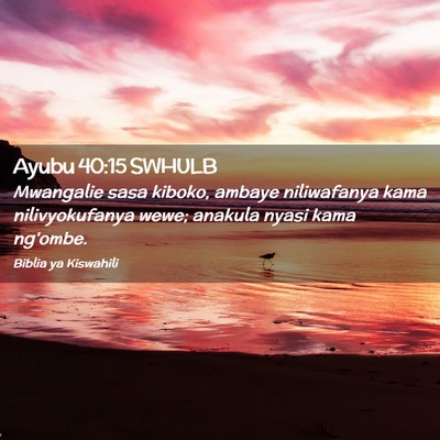 Picture 02 - Ayubu 40:15 SWHULB - Mwangalie sasa kiboko, ambaye niliwafanya kama - Bible Verse Picture