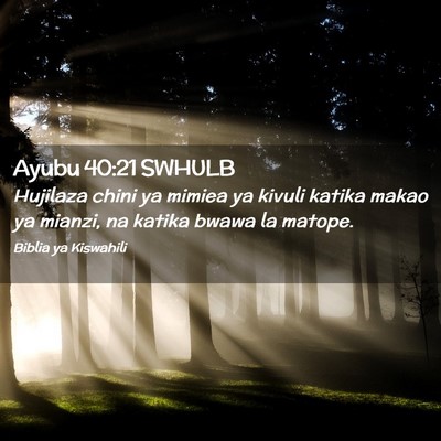 Picture 02 - Ayubu 40:21 SWHULB - Hujilaza chini ya mimiea ya kivuli katika makao - Bible Verse Picture