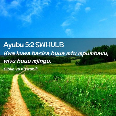 Picture 02 - Ayubu 5:2 SWHULB - Kwa kuwa hasira huua mtu mpumbavu; wivu huua - Bible Verse Picture