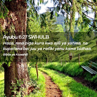 Picture 02 - Ayubu 6:27 SWHULB - Hasa, mna piga kura kwa ajili ya yatima, na - Bible Verse Picture