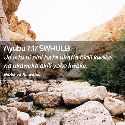 Picture 02 - Ayubu 7:17 SWHULB - Je mtu ni nini hata ukatia bidii kwake, na - Bible Verse Picture