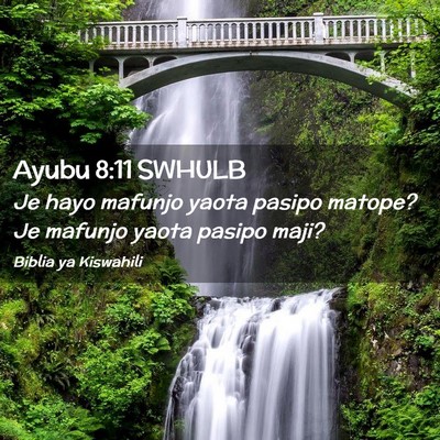 Picture 02 - Ayubu 8:11 SWHULB - Je hayo mafunjo yaota pasipo matope? Je mafunjo - Bible Verse Picture