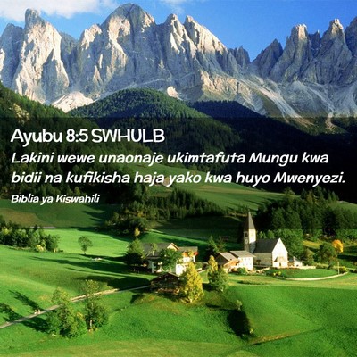 Picture 02 - Ayubu 8:5 SWHULB - Lakini wewe unaonaje ukimtafuta Mungu kwa bidii - Bible Verse Picture