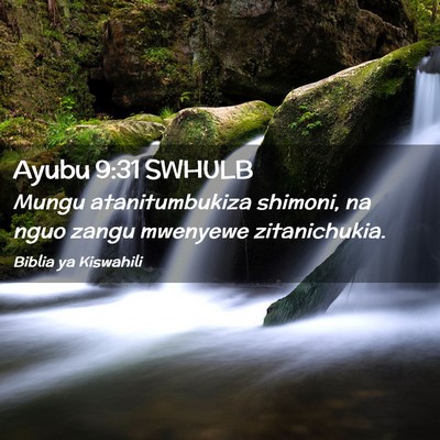 Picture 02 - Ayubu 9:31 SWHULB - Mungu atanitumbukiza shimoni, na nguo zangu - Bible Verse Picture