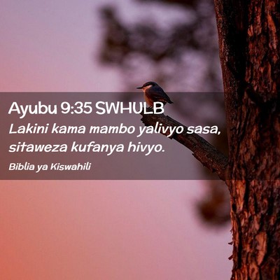Picture 02 - Ayubu 9:35 SWHULB - Lakini kama mambo yalivyo sasa, sitaweza kufanya - Bible Verse Picture
