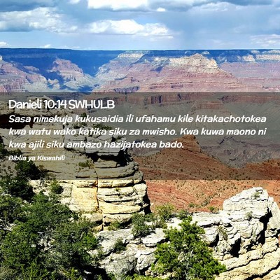 Picture 02 - Danieli 10:14 SWHULB - Sasa nimekuja kukusaidia ili ufahamu kile - Bible Verse Picture