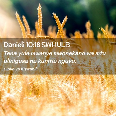 Picture 02 - Danieli 10:18 SWHULB - Tena yule mwenye mwonekano wa mtu alinigusa na - Bible Verse Picture