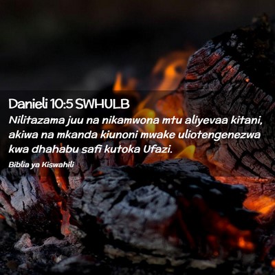 Picture 02 - Danieli 10:5 SWHULB - Nilitazama juu na nikamwona mtu aliyevaa kitani, - Bible Verse Picture