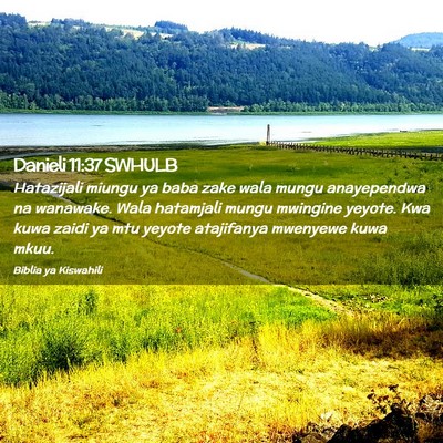 Picture 02 - Danieli 11:37 SWHULB - Hatazijali miungu ya baba zake wala mungu - Bible Verse Picture