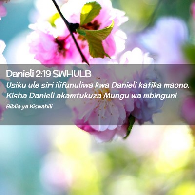 Picture 02 - Danieli 2:19 SWHULB - Usiku ule siri ilifunuliwa kwa Danieli katika - Bible Verse Picture