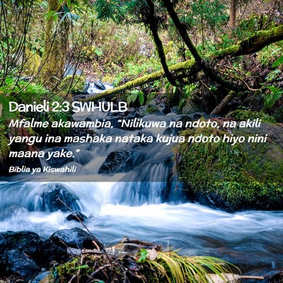 Picture 02 - Danieli 2:3 SWHULB - Mfalme akawambia, “Nilikuwa na ndoto, na akili - Bible Verse Picture
