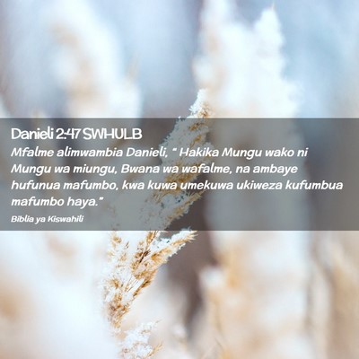 Picture 02 - Danieli 2:47 SWHULB - Mfalme alimwambia Danieli, “ Hakika Mungu wako - Bible Verse Picture