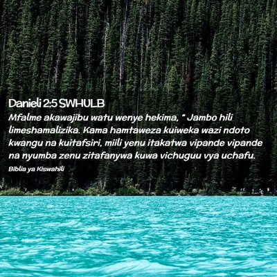Picture 02 - Danieli 2:5 SWHULB - Mfalme akawajibu watu wenye hekima, “ Jambo - Bible Verse Picture