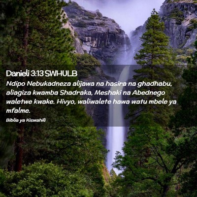 Picture 02 - Danieli 3:13 SWHULB - Ndipo Nebukadneza alijawa na hasira na ghadhabu, - Bible Verse Picture