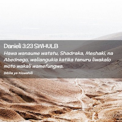 Picture 02 - Danieli 3:23 SWHULB - Hawa wanaume watatu, Shadraka, Meshaki, na - Bible Verse Picture