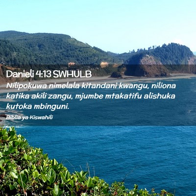 Picture 02 - Danieli 4:13 SWHULB - Nilipokuwa nimelala kitandani kwangu, niliona - Bible Verse Picture
