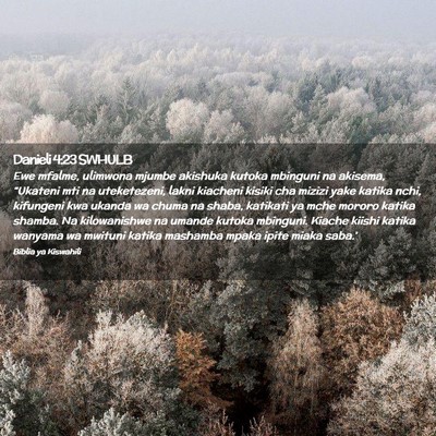 Picture 02 - Danieli 4:23 SWHULB - Ewe mfalme, ulimwona mjumbe akishuka kutoka - Bible Verse Picture