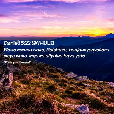 Picture 02 - Danieli 5:22 SWHULB - Wewe mwana wake, Belshaza, haujaunyenyekeza moyo - Bible Verse Picture