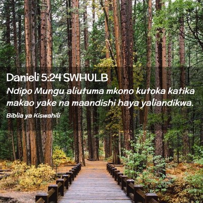 Picture 02 - Danieli 5:24 SWHULB - Ndipo Mungu aliutuma mkono kutoka katika makao - Bible Verse Picture
