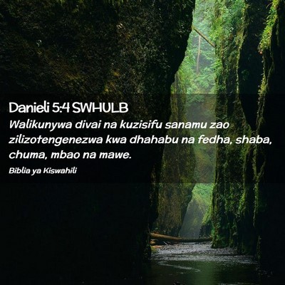 Picture 02 - Danieli 5:4 SWHULB - Walikunywa divai na kuzisifu sanamu zao - Bible Verse Picture