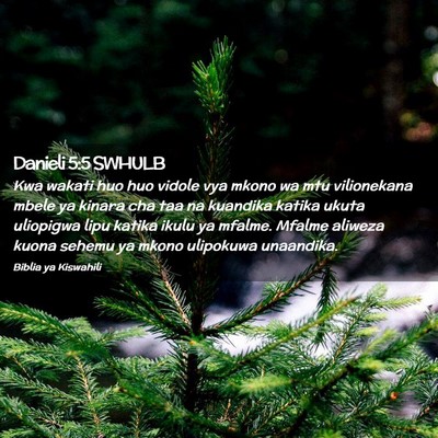 Picture 02 - Danieli 5:5 SWHULB - Kwa wakati huo huo vidole vya mkono wa mtu - Bible Verse Picture