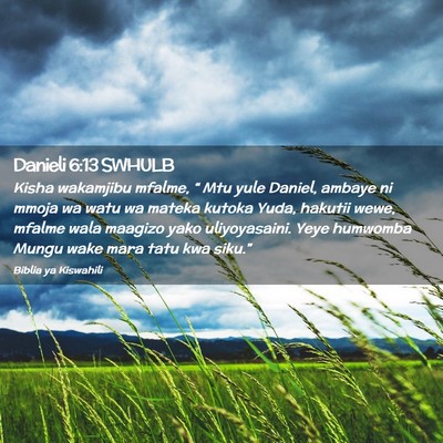 Picture 02 - Danieli 6:13 SWHULB - Kisha wakamjibu mfalme, “ Mtu yule Daniel, - Bible Verse Picture