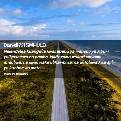Picture 02 - Danieli 7:11 SWHULB - Niliendelea kuangalia kwasababu ya maneno ya - Bible Verse Picture