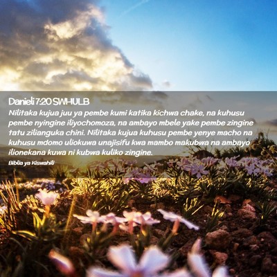 Picture 02 - Danieli 7:20 SWHULB - Nilitaka kujua juu ya pembe kumi katika kichwa - Bible Verse Picture