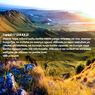Picture 02 - Danieli 7:7 SWHULB - Baada haya, niliona usiku katika ndoto yangu - Bible Verse Picture