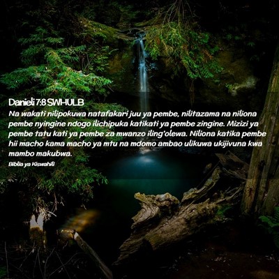 Picture 02 - Danieli 7:8 SWHULB - Na wakati nilipokuwa natafakari juu ya pembe, - Bible Verse Picture