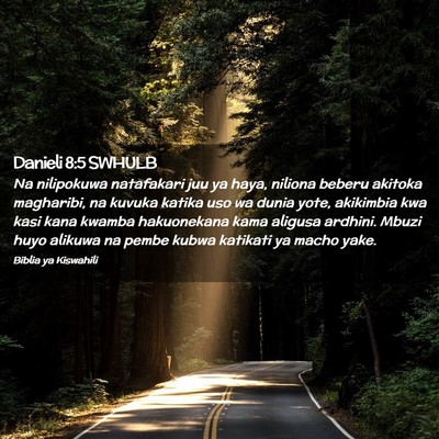 Picture 02 - Danieli 8:5 SWHULB - Na nilipokuwa natafakari juu ya haya, niliona - Bible Verse Picture