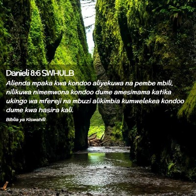Picture 02 - Danieli 8:6 SWHULB - Alienda mpaka kwa kondoo aliyekuwa na pembe - Bible Verse Picture