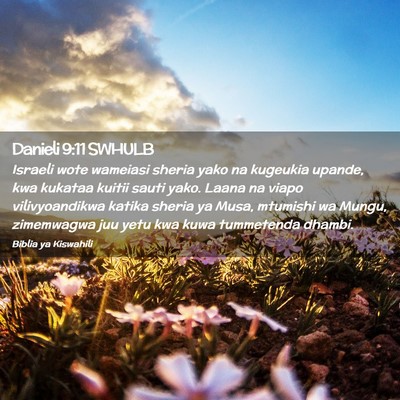 Picture 02 - Danieli 9:11 SWHULB - Israeli wote wameiasi sheria yako na kugeukia - Bible Verse Picture