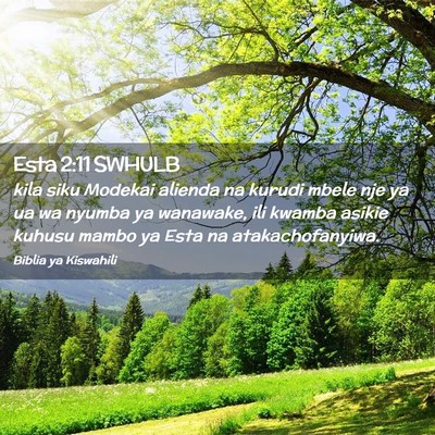 Picture 02 - Esta 2:11 SWHULB - kila siku Modekai alienda na kurudi mbele nje ya - Bible Verse Picture