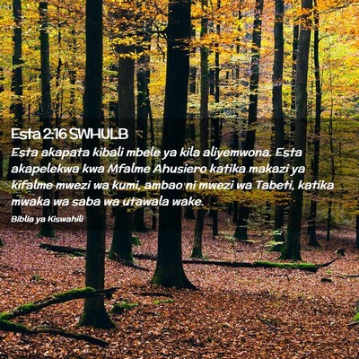 Picture 02 - Esta 2:16 SWHULB - Esta akapata kibali mbele ya kila aliyemwona. - Bible Verse Picture
