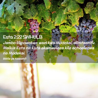 Picture 02 - Esta 2:22 SWHULB - Jambo lilipowekwa wazi kwa Modekai, alimtaarifu - Bible Verse Picture