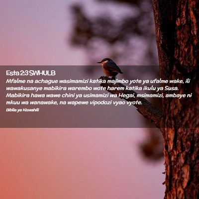 Picture 02 - Esta 2:3 SWHULB - Mfalme na achague wasimamizi katika majimbo yote - Bible Verse Picture