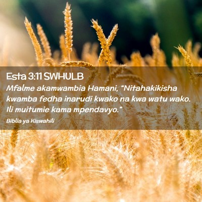 Picture 02 - Esta 3:11 SWHULB - Mfalme akamwambia Hamani, “Nitahakikisha kwamba - Bible Verse Picture