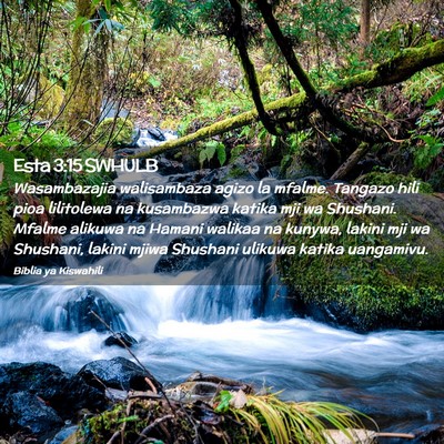 Picture 02 - Esta 3:15 SWHULB - Wasambazajia walisambaza agizo la mfalme. Tangazo - Bible Verse Picture