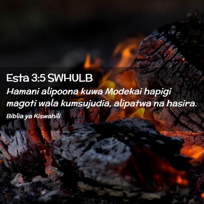 Picture 02 - Esta 3:5 SWHULB - Hamani alipoona kuwa Modekai hapigi magoti wala - Bible Verse Picture