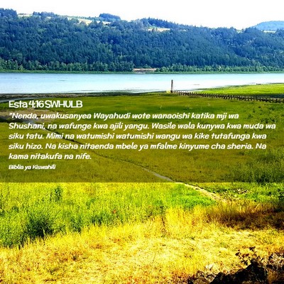 Picture 02 - Esta 4:16 SWHULB - “Nenda, uwakusanyea Wayahudi wote wanaoishi - Bible Verse Picture
